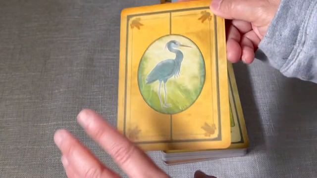 MESSAGES FROM YOUR ANIMAL SPIRIT GUIDES ORACLE CARDS by: Steven D. Farmer смотреть онлайн