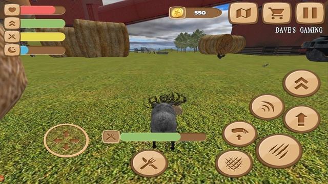 ?House Pig Adventure Animal Simulator 3D- By Animals Wildlife Studio -Android смотреть онлайн