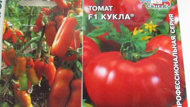 Томаты низкорослые.ЖИГАЛО И КУКЛА.Урожайные и вкусные. смотреть онлайн