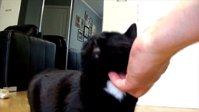 Beyblade Burst Жар МЕТАЛЛА / кто СИЛЬНЕЕ шаг вперед и полет!