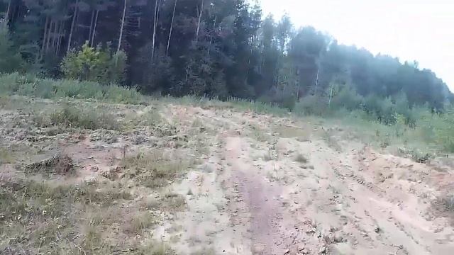 ПРОГУЛОЧКА по ЛЕСУ на ТРАКТОРЕ САМОДЕЛКЕ смотреть онлайн