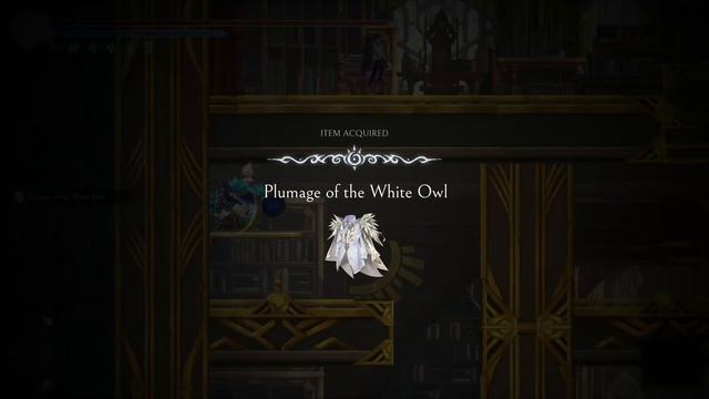 Afterimage - Plumage Of The White Owl Location (Armor)
