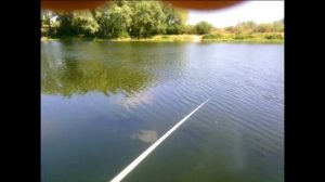 Рыбалка летом. Ловля уклейки