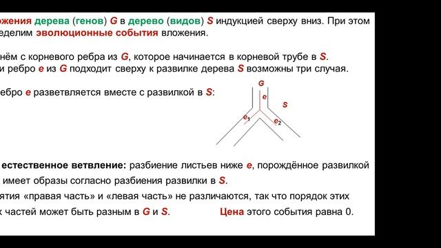 Математическая биология и дискретная оптимизация. Лекция 16 (10.4.2023) смотреть онлайн