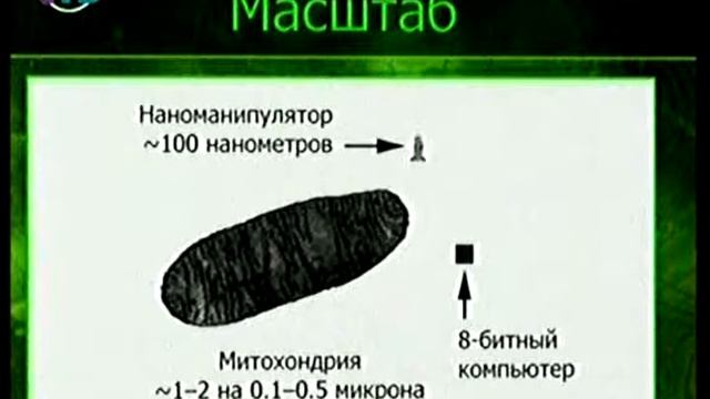 Молекулярное производство смотреть онлайн