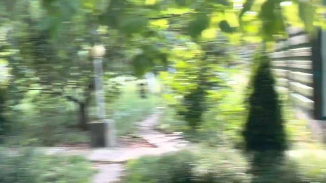 Четверолапые жители Вселенной смотреть онлайн