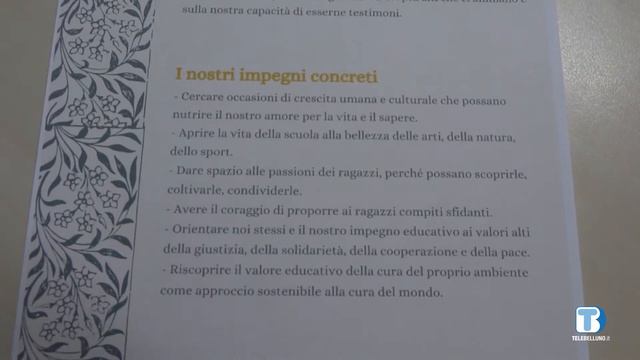 Insieme Oltre il 2000 - La Carta per la Scuola del Comitato Belluno Comunità che Educa смотреть онлайн