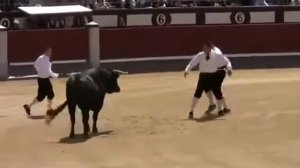 Испанская Коррида. Кровавое месиво