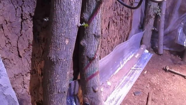 Землянка выживание! Харьков! Харьковская область! своими руками! реальные советы! коты! кошки! смотреть онлайн