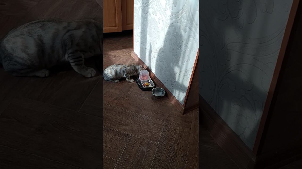 22 января 2020 г. смотреть онлайн