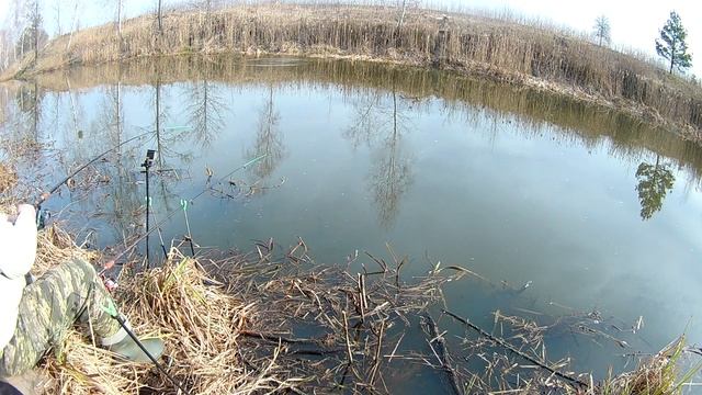 ВЕСЕННИЙ ФИДЕР на малой реке. РЫБАЛКА 2022!!! Ловля карпа и карася. смотреть онлайн