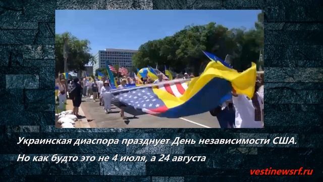 Украинская диаспора празднует День независимости США. смотреть онлайн