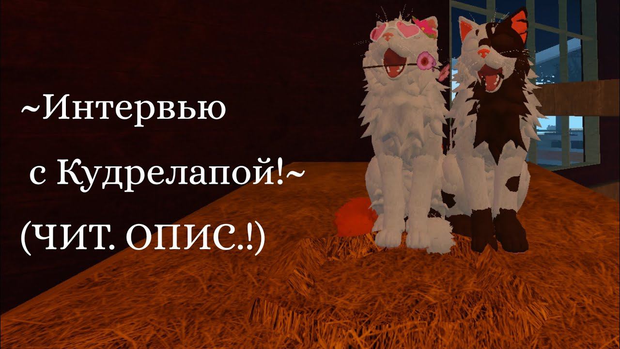 //Видео-интервью с @Curlypaw_Warrior // (ЧИТ. ОПИС.) #warriorcats #мяу #кв