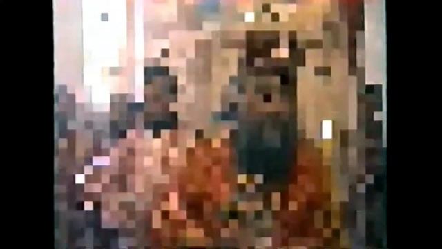 Архиепископ Максим. Полыковичи, 11 июня 2000 г. смотреть онлайн