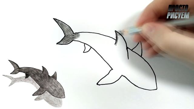 Рисуем АКУЛУ легко смотреть онлайн