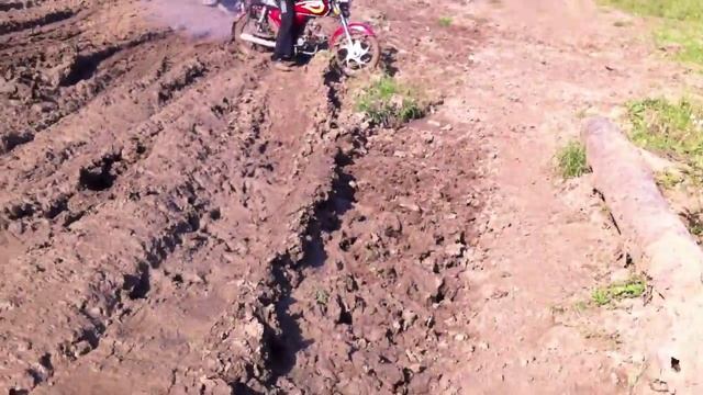альфа и дельта по грязи смотреть онлайн