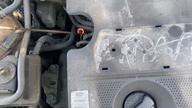 Разборка Volkswagen - Golf 4 1997-2005, 1.6 (VIN: WVWZZZ1JZ1P551139) Y183GAT смотреть онлайн