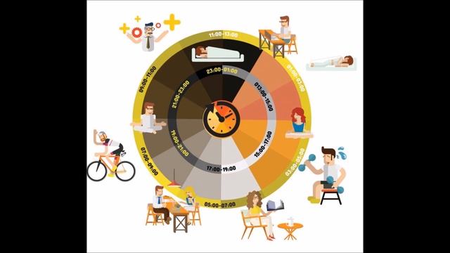 Как использовать биологические часы себе во благо смотреть онлайн