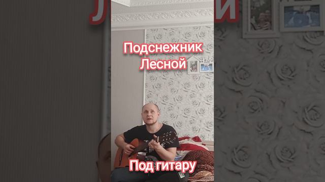Подорвался на мине в лесу!!! слушать до конца (Под гитару) смотреть онлайн