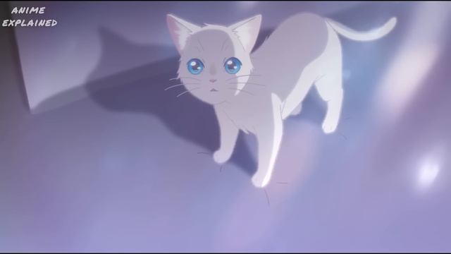 Girl Becomes A Cat After Finding Out Her Crush Loves Cat | Anime Recap смотреть онлайн