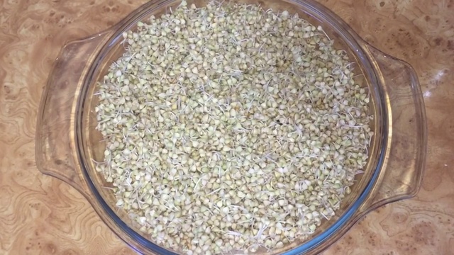 Коктейль из пророщенных зерен гречихи смотреть онлайн