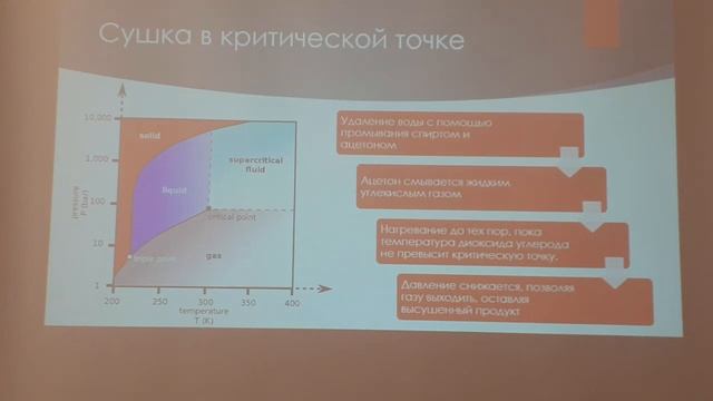 16. 14.02.22 - Васильев. Часть 2 смотреть онлайн