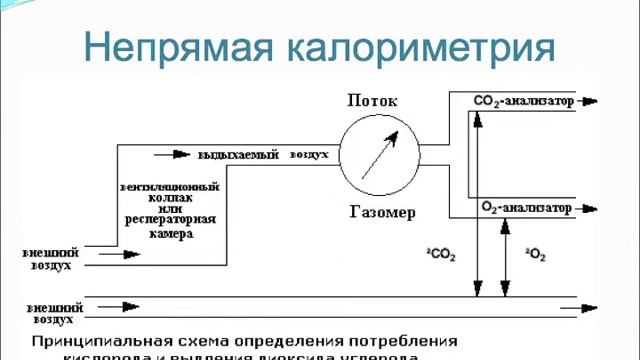 Нутритивная поддержка пациентов в остром периоде ЧМТ смотреть онлайн