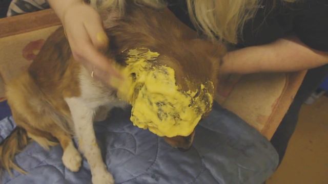 Ригли, обработка ран смотреть онлайн