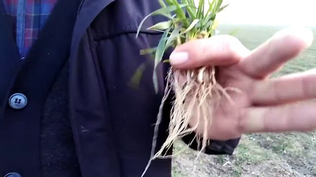 андижанская область смотреть онлайн