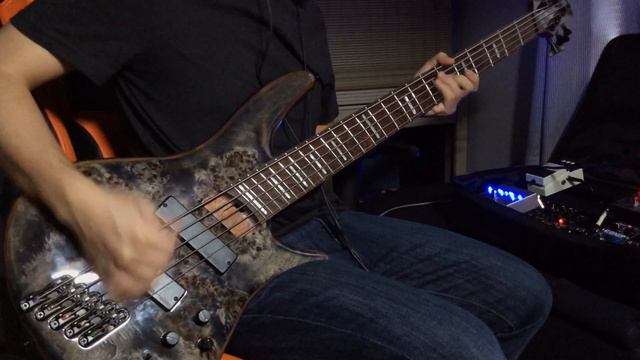 Trivium - Entrance of the conflagration | Bass cover смотреть онлайн