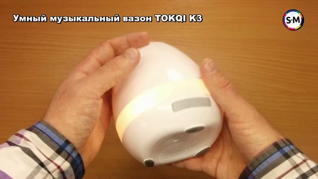 Музыкальный вазон Tokqi K3. Или портативная bluetooth колонка? смотреть онлайн