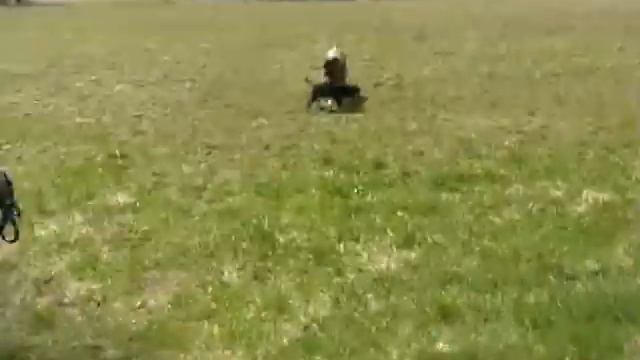 Ozzy a Tony -tibetan mastiff and bullmastiff 2010.mpg смотреть онлайн