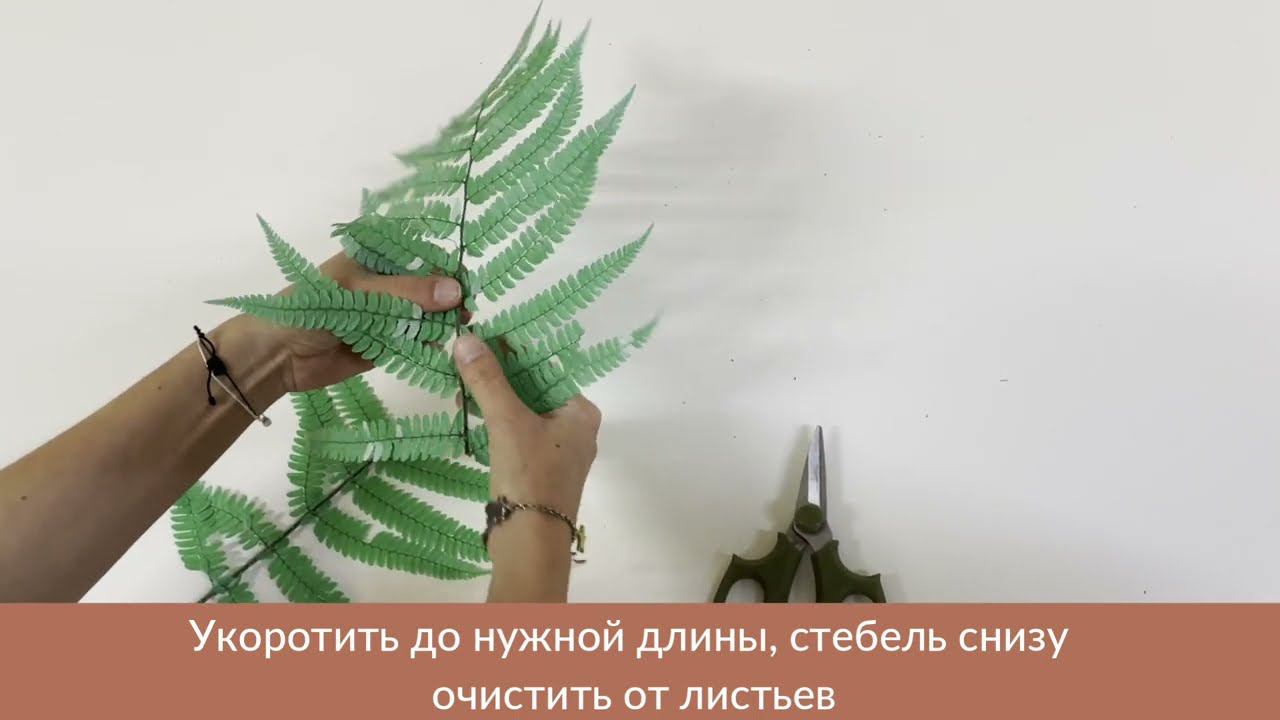 Работа с папоротником-аналогом смотреть онлайн