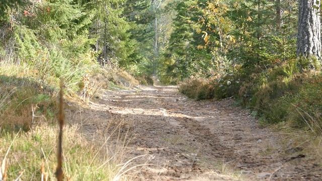 Linhai 300 4x4 смотреть онлайн