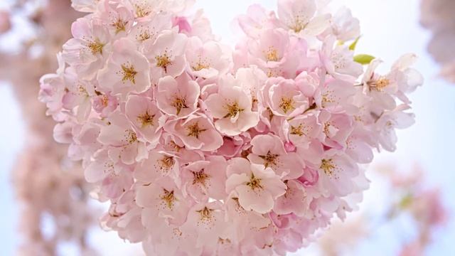 "Любящее сердце" смотреть онлайн