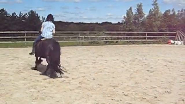 Fell Pony смотреть онлайн