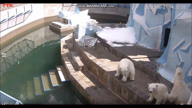 Повторяем друг за другом 21.06.2020