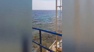 Обзор отеля Гранд Халоми Ресорт / Grand Halomy  Resort 3* Шарм-эль-Шейх