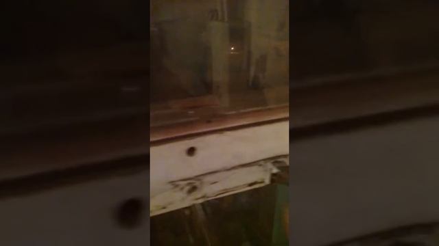 Утепление окон на зиму смотреть онлайн