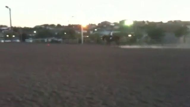 Miss Priss...trying to find her impulsion for Dressage! смотреть онлайн