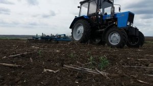 Трактор МТЗ 82.1 с культиватором КПС 4 делаю  предпосевную культивацию