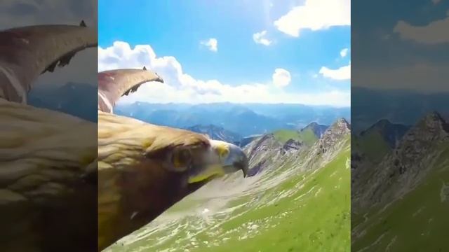 Крым. Горы. смотреть онлайн