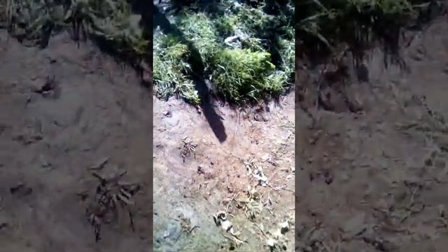 31 июля 2020 г.