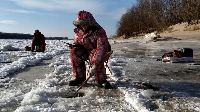 Ловля щуки зимой на реке Амур в начале декабря 2020. Щука без зубов? миф или реальность? смотреть онлайн