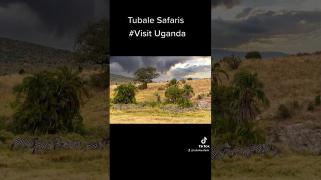 Visit Uganda! смотреть онлайн