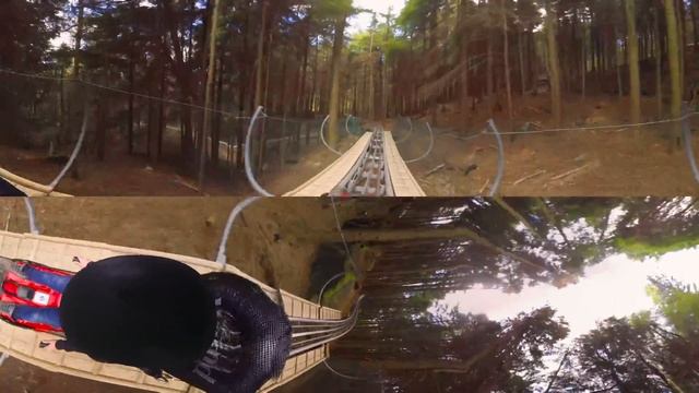 Zip World Fforest Coaster in 360 смотреть онлайн