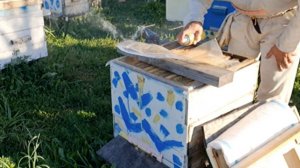 Обработка пчелиных семей от клеща Варроа эфирными маслами Апистанзоль. Предварительные результаты
