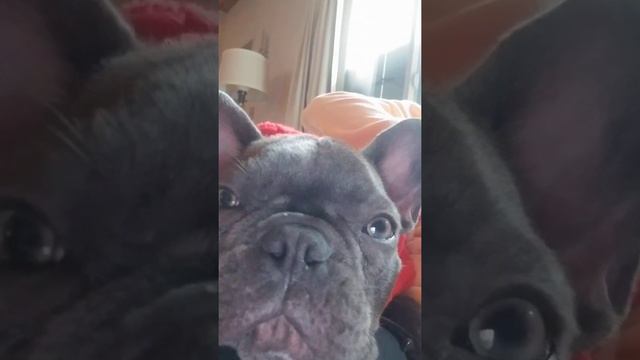 Butters смотреть онлайн