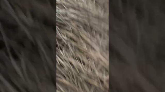 СКАТИЛСЯ С ГОРЫ ЭВЕРЕСТ смотреть онлайн