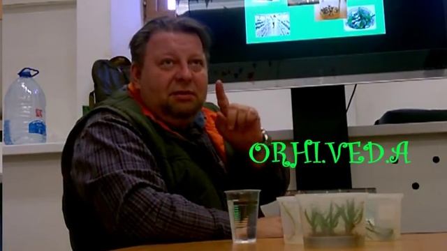 ОРХИДЕЯ_ Выращивание сеянцев орхидей из ФЛАСКИ_ ЛЕКЦИЯ_ 1 часть смотреть онлайн
